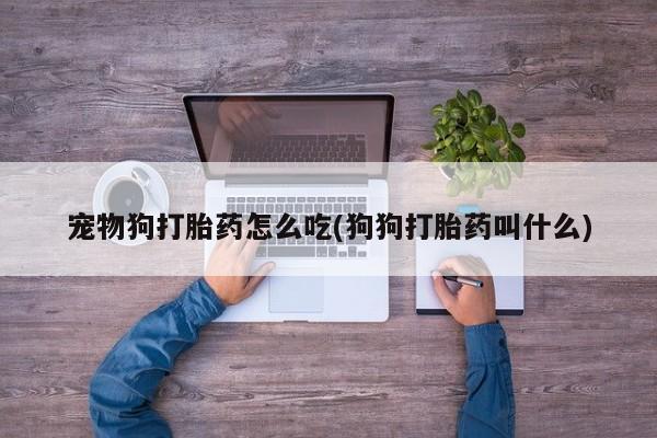 堕胎药购买联系宠物狗打胎药怎么吃(狗狗打胎药叫什么)