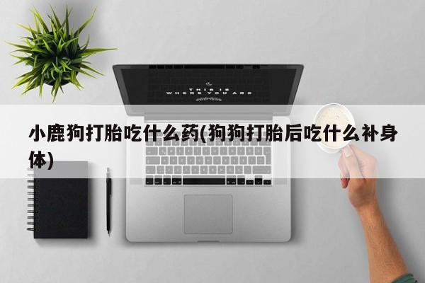 堕胎药购买联系小鹿狗打胎吃什么药(狗狗打胎后吃什么补身体)