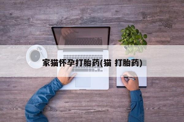 堕胎药购买联系家猫怀孕打胎药(猫 打胎药)