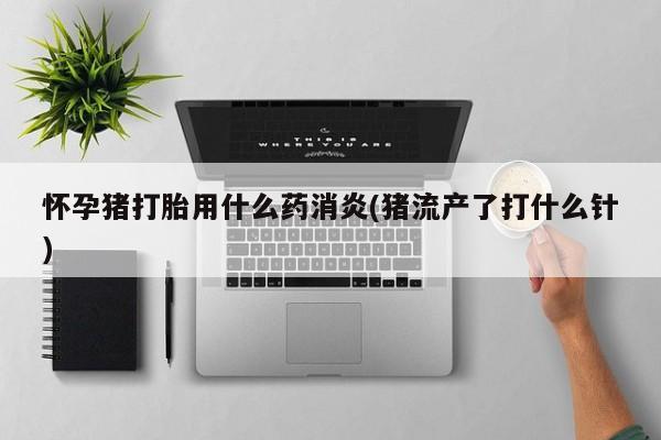 堕胎药购买联系怀孕猪打胎用什么药消炎(猪流产了打什么针)